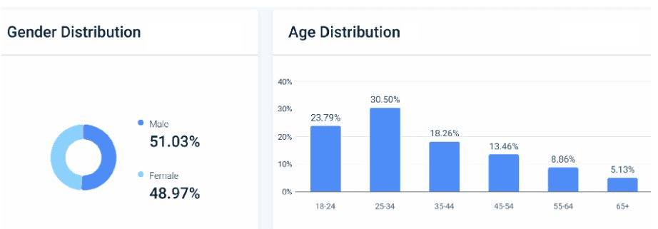 Visme-Website-Demographics.
