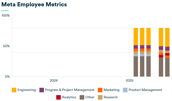 Meta Employee Metrics