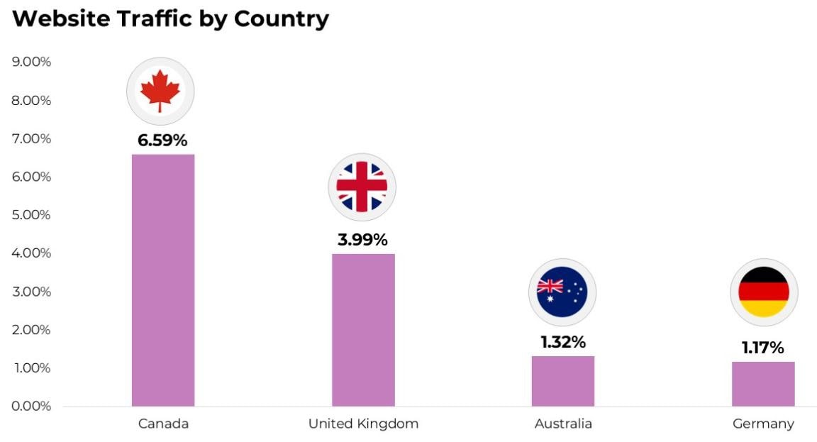 Website Traffic by Country