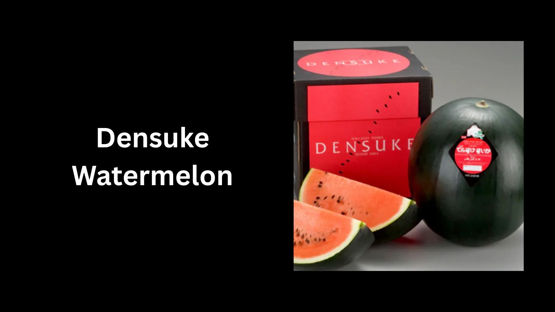 Densuke Watermelon