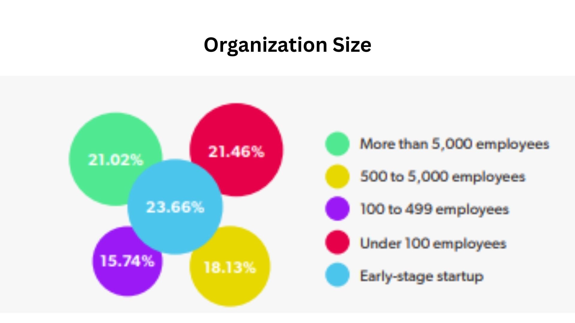 Organization Size
