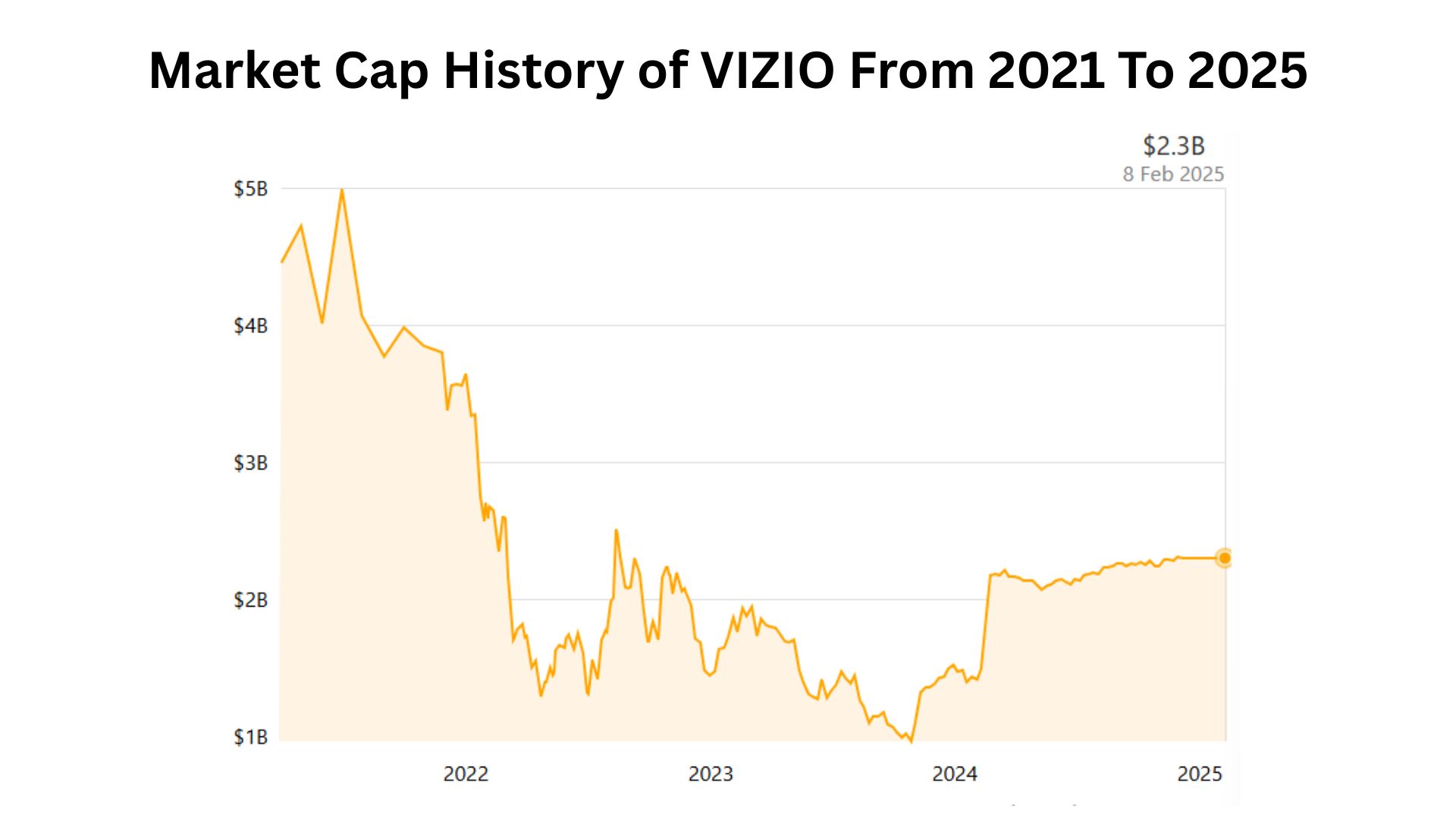 Market Cap History of VIZIO From 2021 To 2025