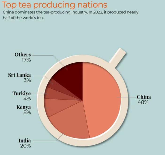 Tea Production By Region
