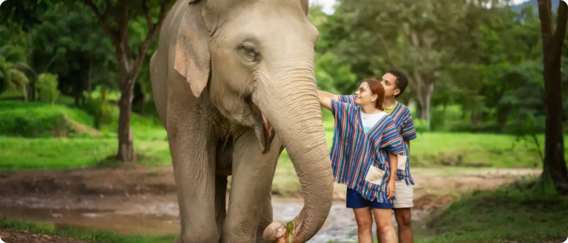 FAQ Elephant Jungle Sanctuary Samui