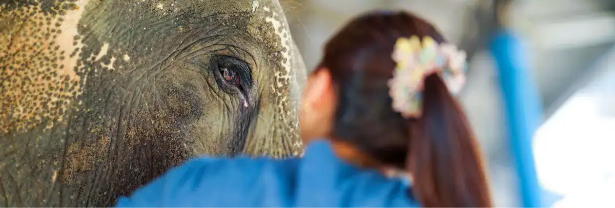 EJS Veterinary Care