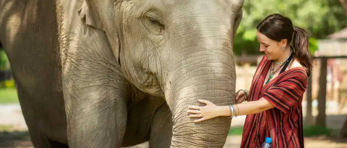Elephant Jungle Sanctuary Privacy Policy