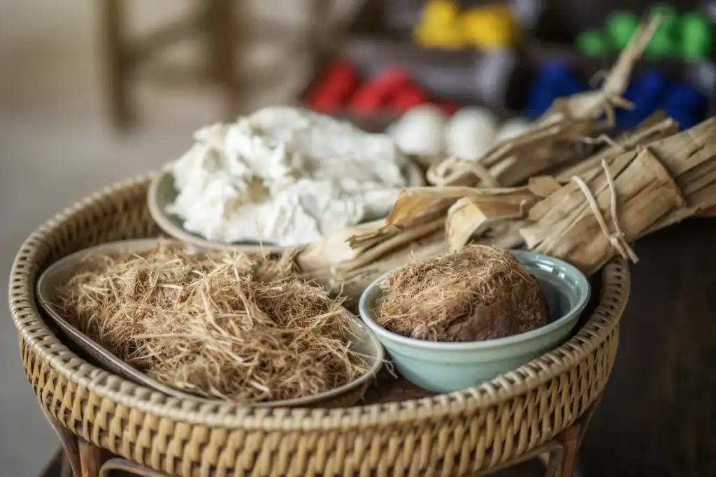 Elephant Dung Can Be Used to Make Paper Products