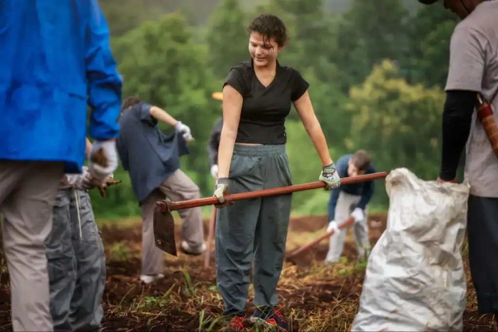 Elephant Dung Is a Powerful Natural Fertilizer