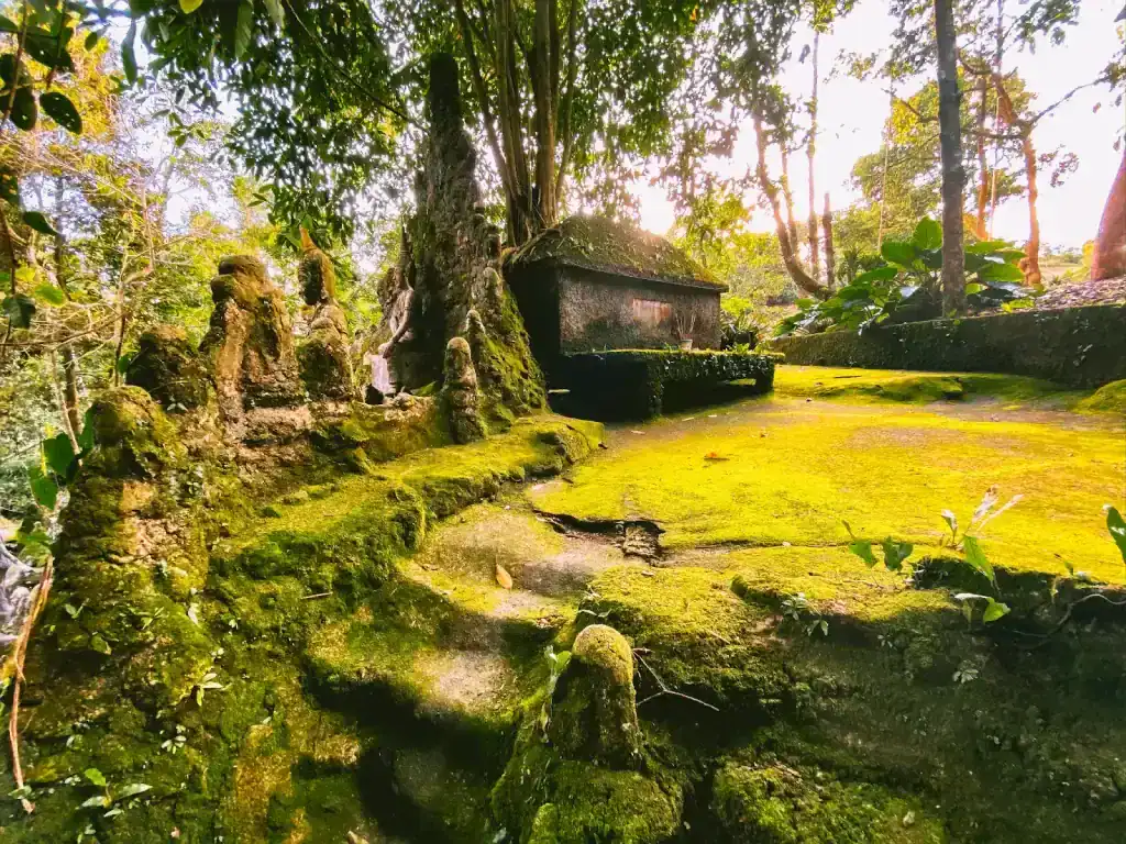 Buddha Garden