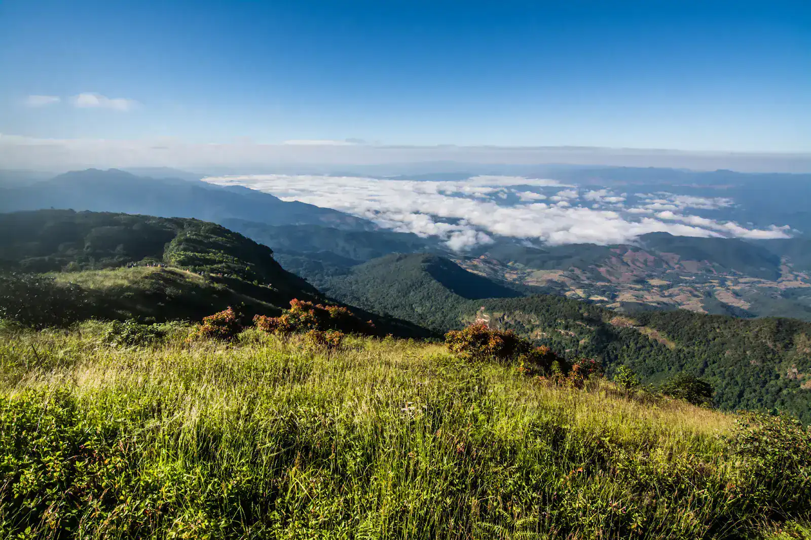 Chiang Mai tourism
