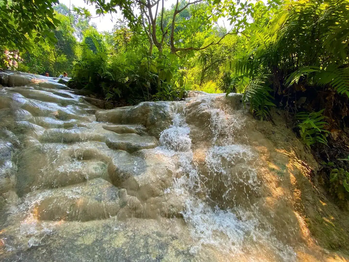 Sticky Waterfall