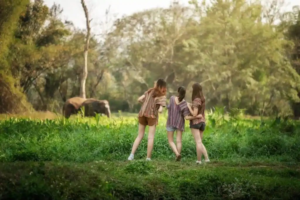 How You Can Support Elephant Conservation