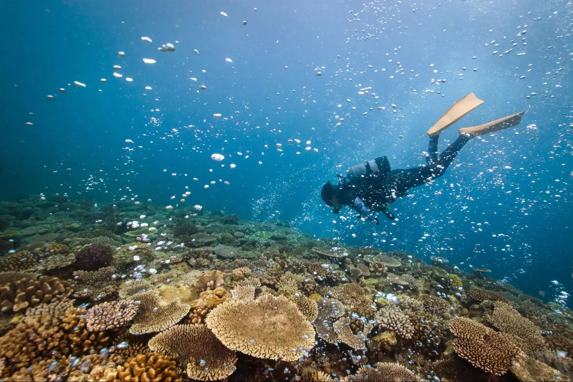 Scuba diving