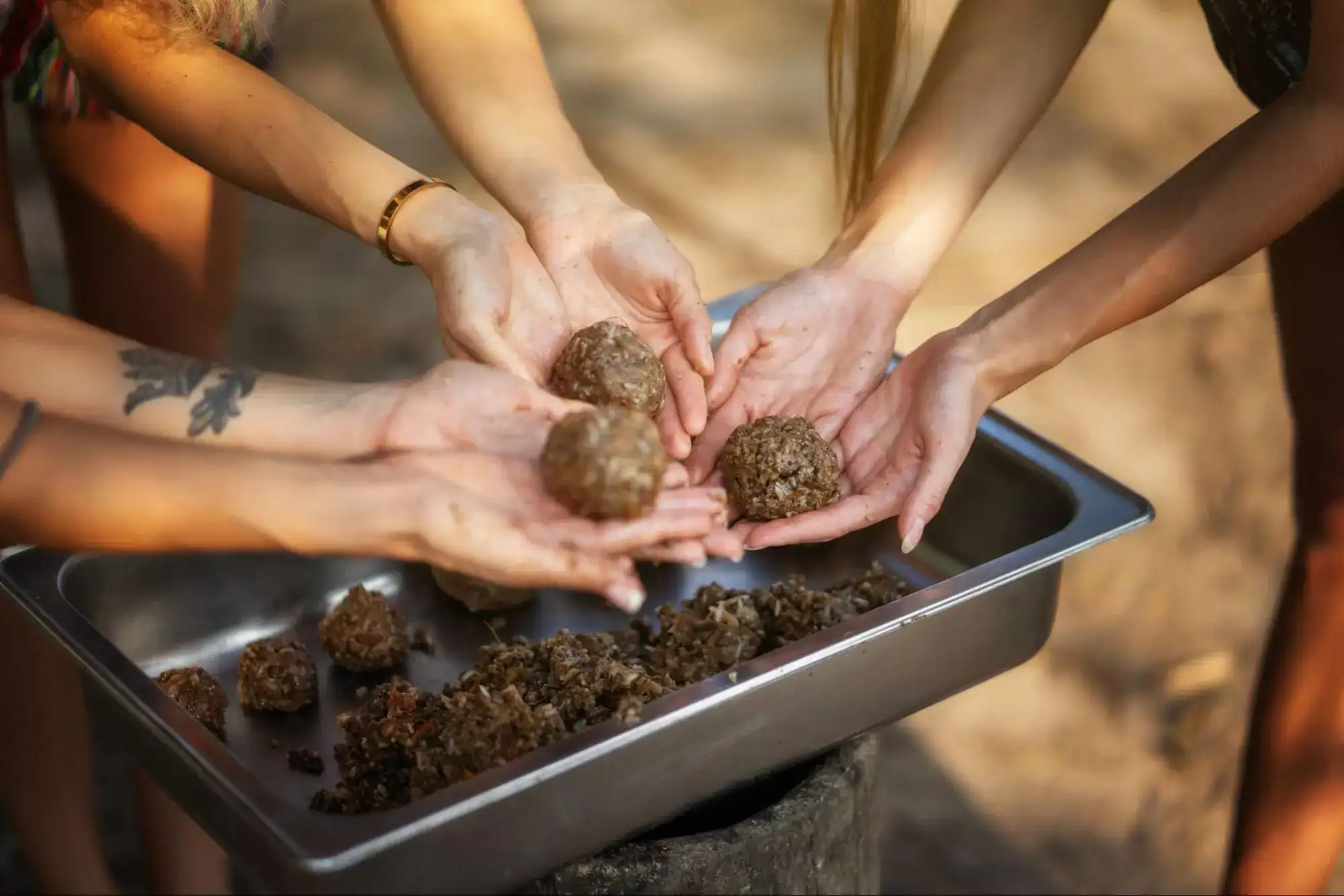 Sustainable Tourism Important