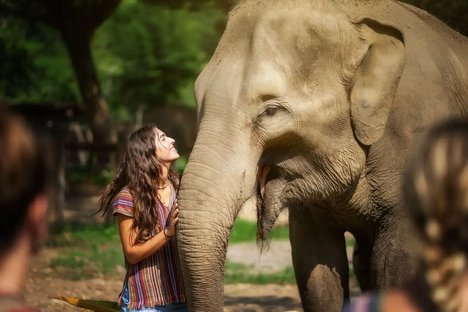 Elephant Jungle Sanctuary