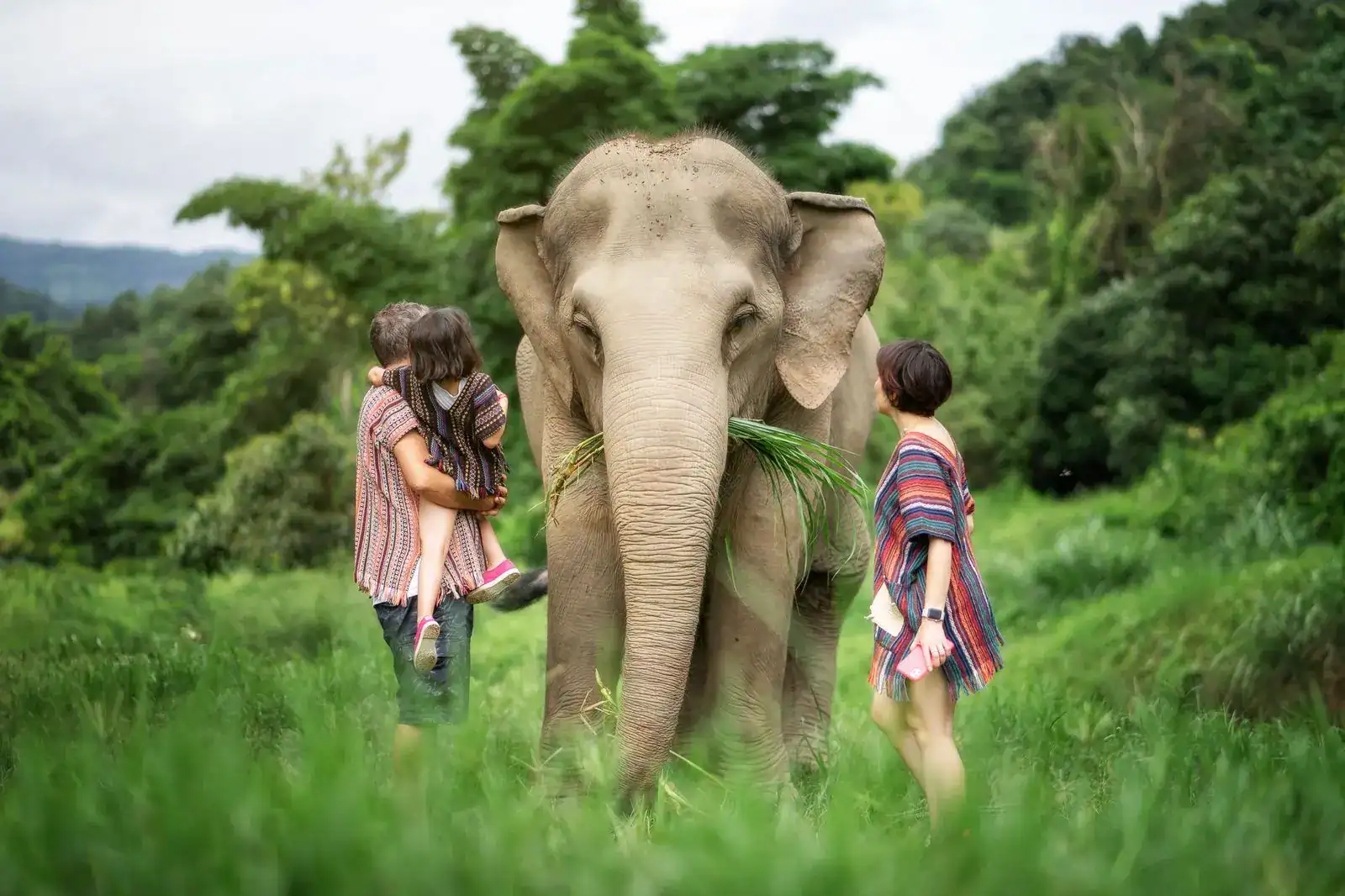 How Do Elephants Eat?
