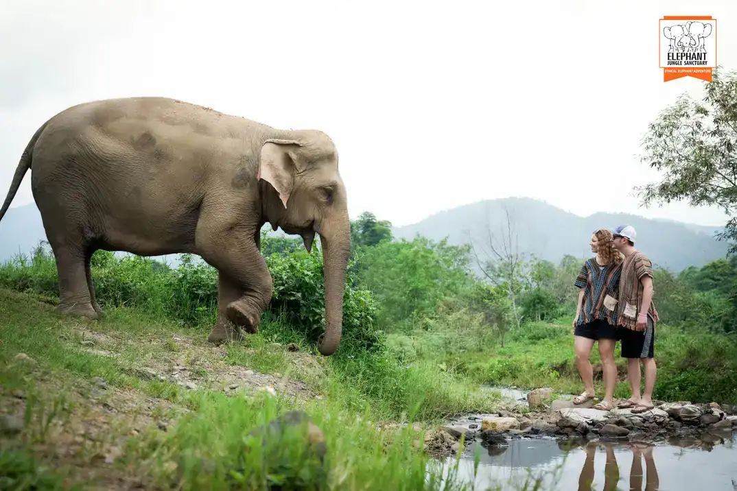Overnight Elephant Sanctuary