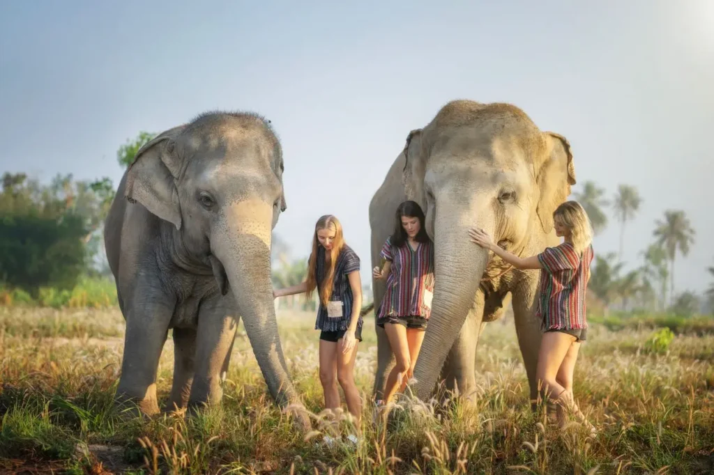 Things to Do in Pattaya with Kids