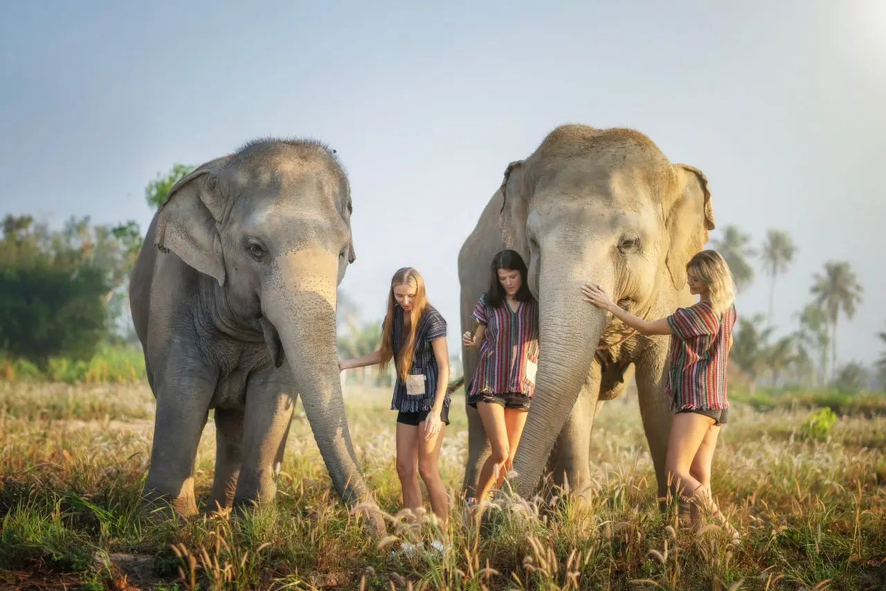 Things to Do in Pattaya with Kids