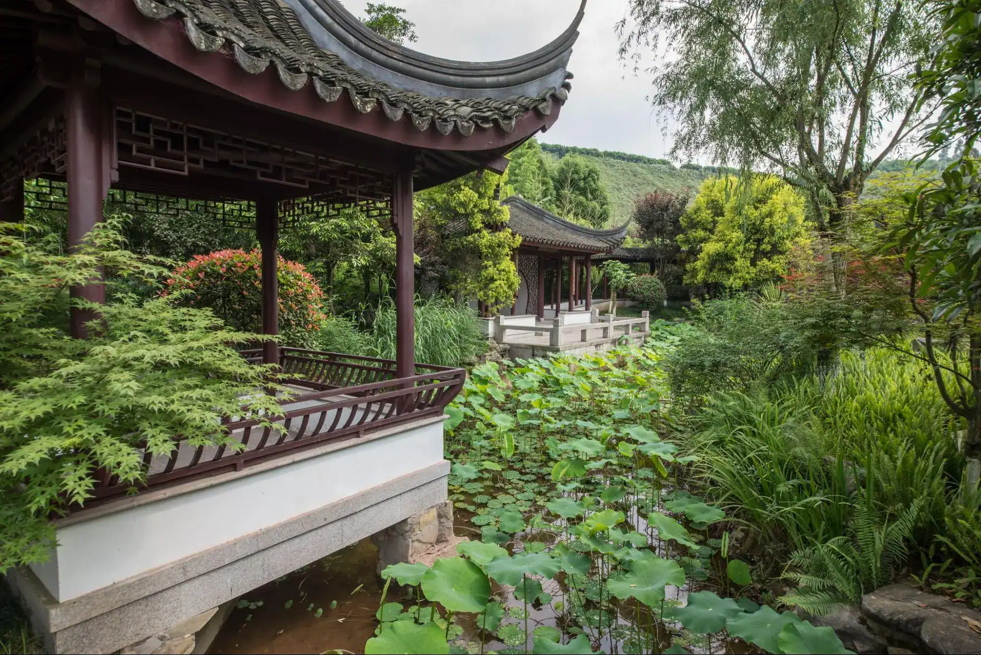 สวนอี้หยวน