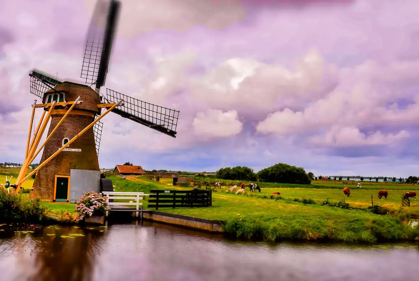 ทัวร์เนเธอร์แลนด์