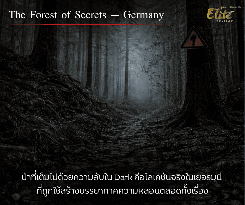 The Forest of Secrets