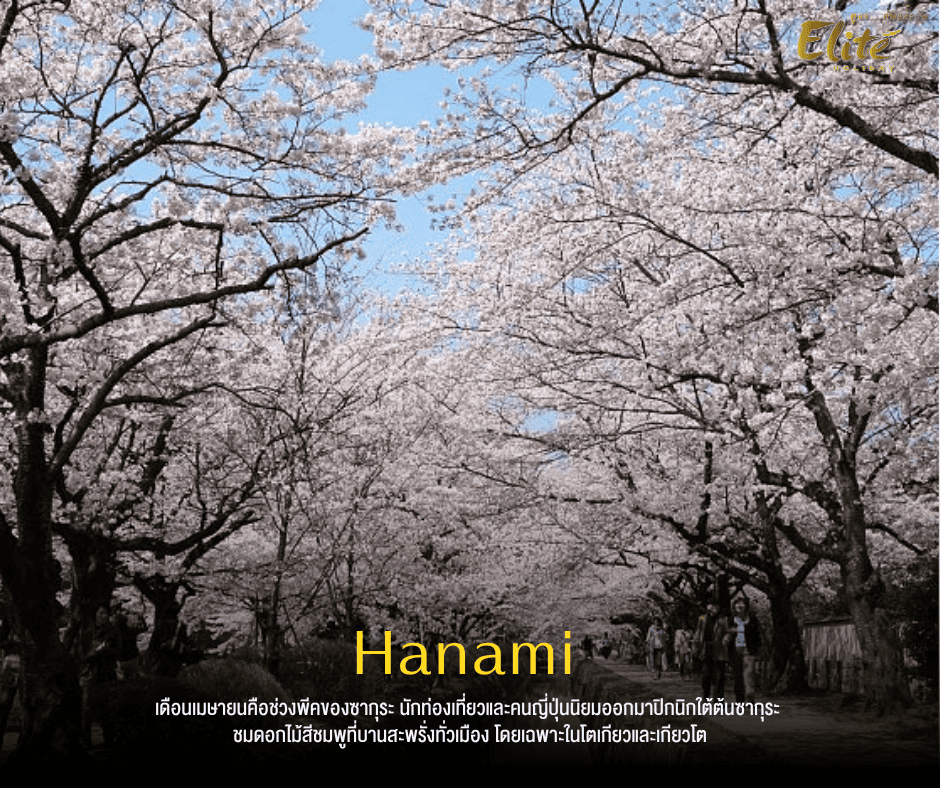 Hanami