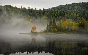 Fishing in the Canadian Bush