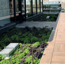 green roof with deck