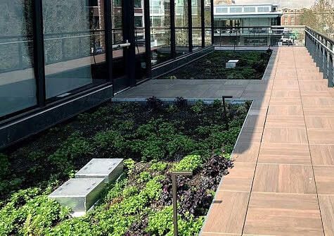green roof with deck