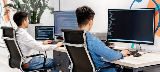 Web Development