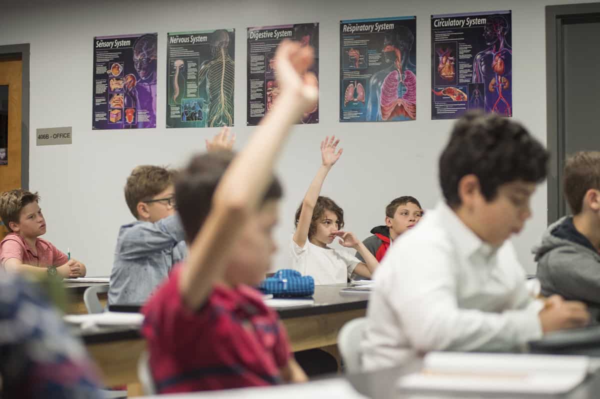Grupo de crianças em sala de aula e algumas delas com mãos levantadas para perguntar. Ilustração do texto sobre franquia de educação fundamental.