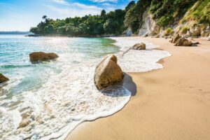Praia com areia bege. Ilustração do texto sobre franquia de turismo online.