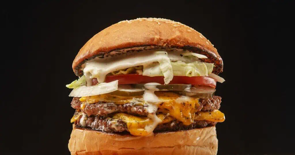 70 maiores franquias e microfranquias do Brasil, veja o ranking franquias de fast food burger