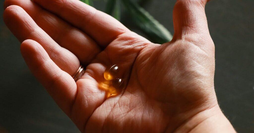 78 ideias de negócios para abrir com pouco dinheiro e lucrar rápido ideias de negócios com pouco dinheiro suplemento alimentar