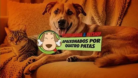 apaixonados por quatro patas bastidores de franquia