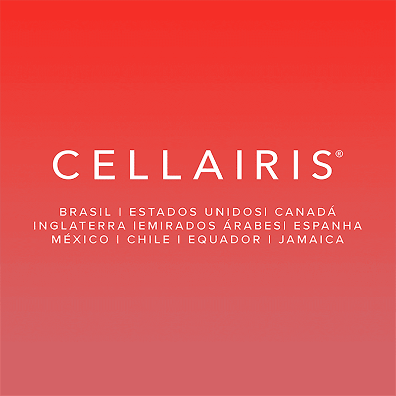 Imagem de divulgação Seja um Franqueado Cellairis!