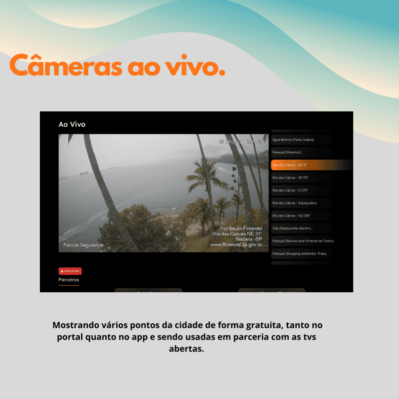 Informações de divulgação da franquia Tudo Em.