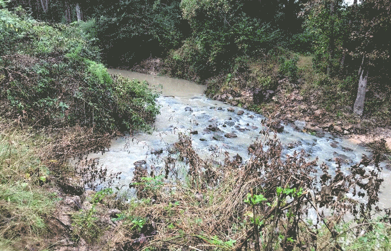 Little Cyprus Creek Watershed