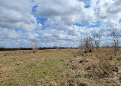 Cultural Resources Survey