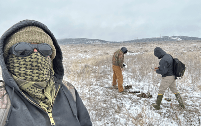 Wetland Delineations in Freezing Temperatures