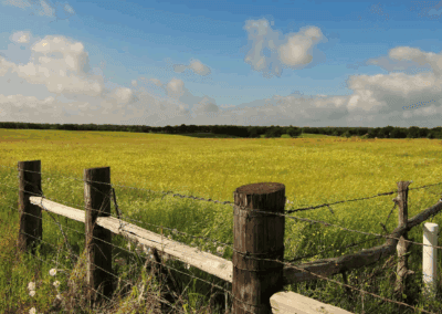 CIA and Permitting Matrix for BESS