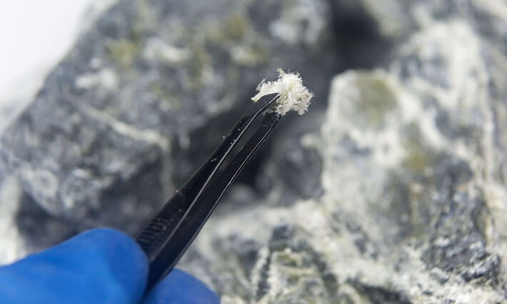 A macro photograph of fibers of the mineral chrysotile asbestos taken from the host rock with tweezers.