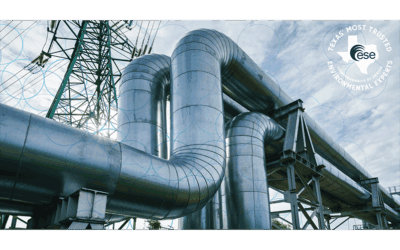 Linear Projects, Local Impact: Managing Environmental Complexity Across Texas