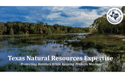 Managing Aquatic Resources and Sensitive Habitats in Texas Development
