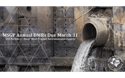 MSGP Annual DMR Deadline: What Texas Industrial Facilities Need to Prepare Before March 31