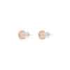 TOMEI Square Shape Nephrite Earrings, Rose Gold 750