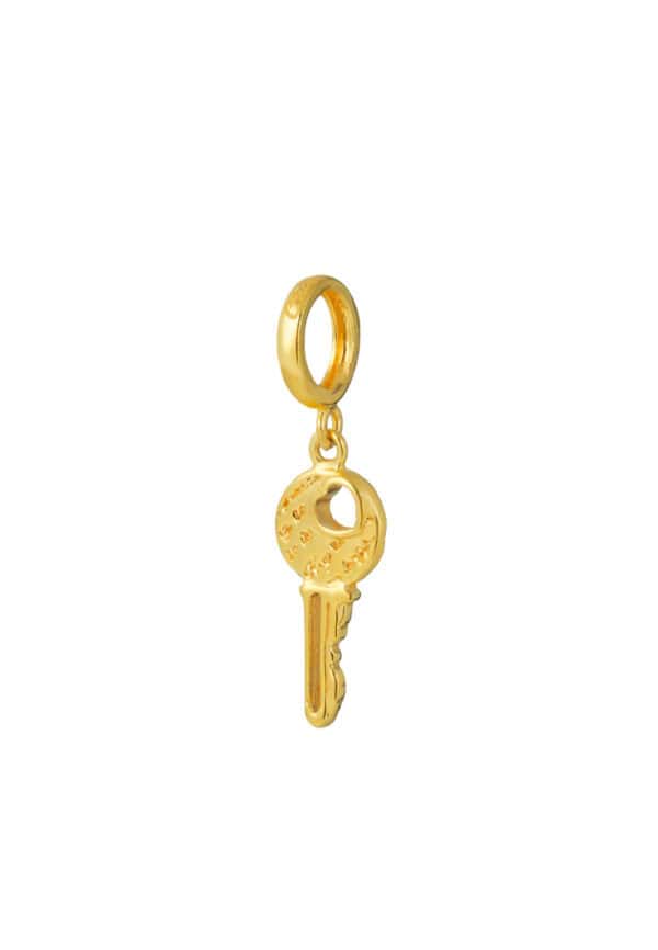 ssmy-zone-1784963450-1100x762px_21July_0041_TM-C453-1C.jpg TOMEI Chomel Collection Key Charm, Yellow Gold 916