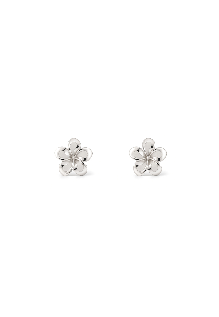 TOMEI Earrings, Yellow Gold 585/14K