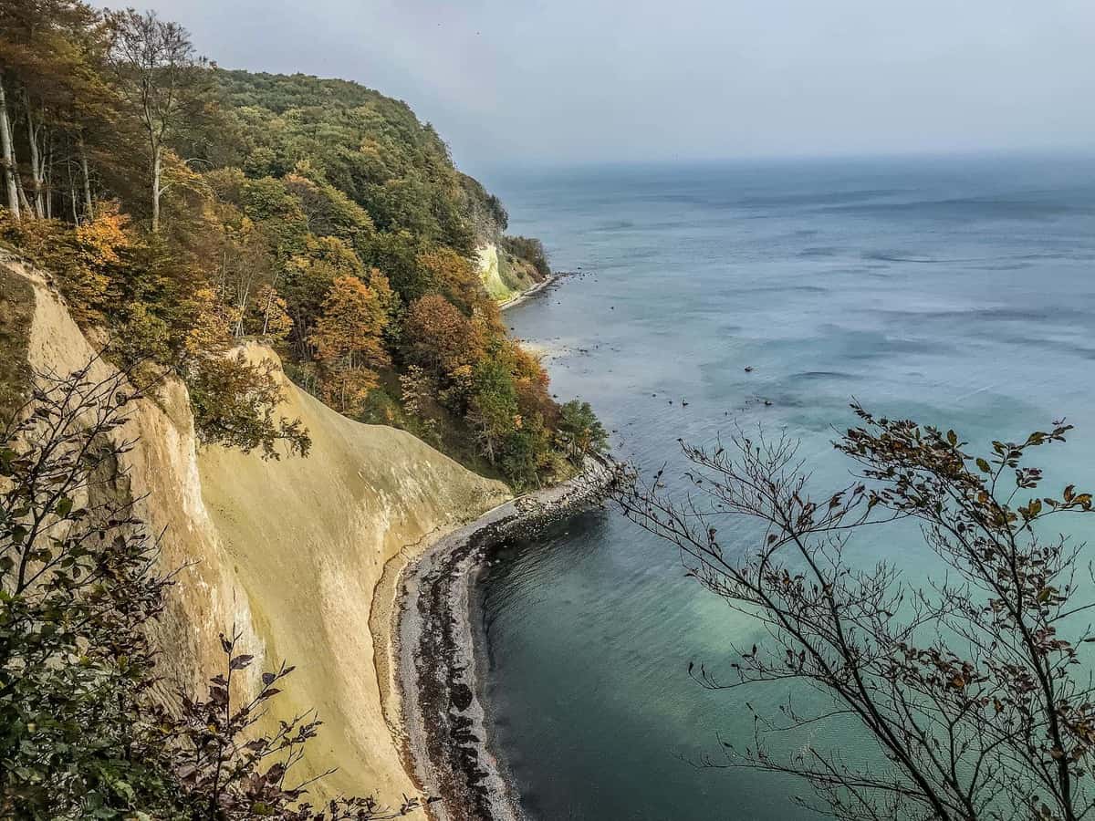 Jasmund WILDCoast